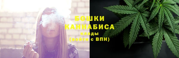 сатива Наволоки