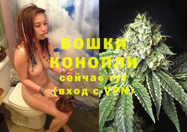 сатива Наволоки
