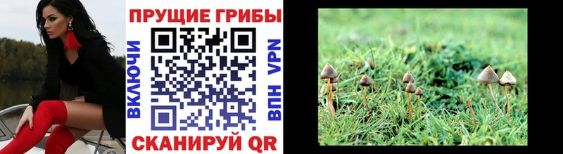 Псилоцибиновые грибы MAGIC MUSHROOMS Сертолово